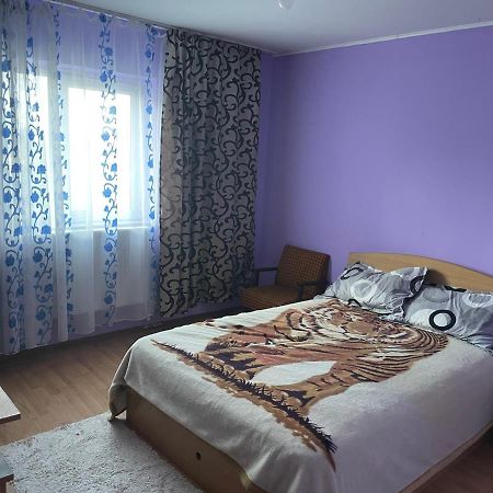 Sofia Rezidence Appartement Dragasani Buitenkant foto